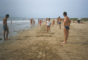 Noirmoutier Location